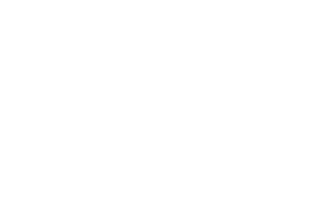 לירון ברששת פיקר